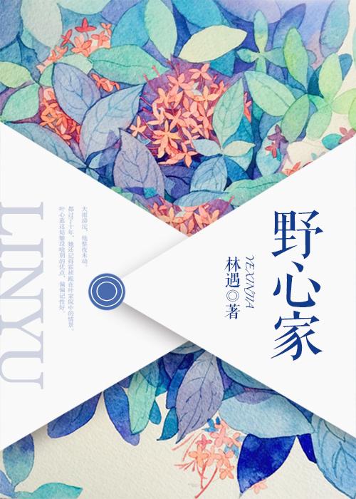 野心家的英文