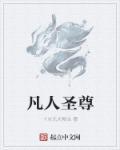 凡人修仙传圣皇实力