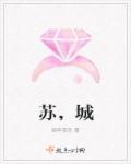 苏城名府