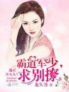 通灵少夫人军少宠上天全文阅读